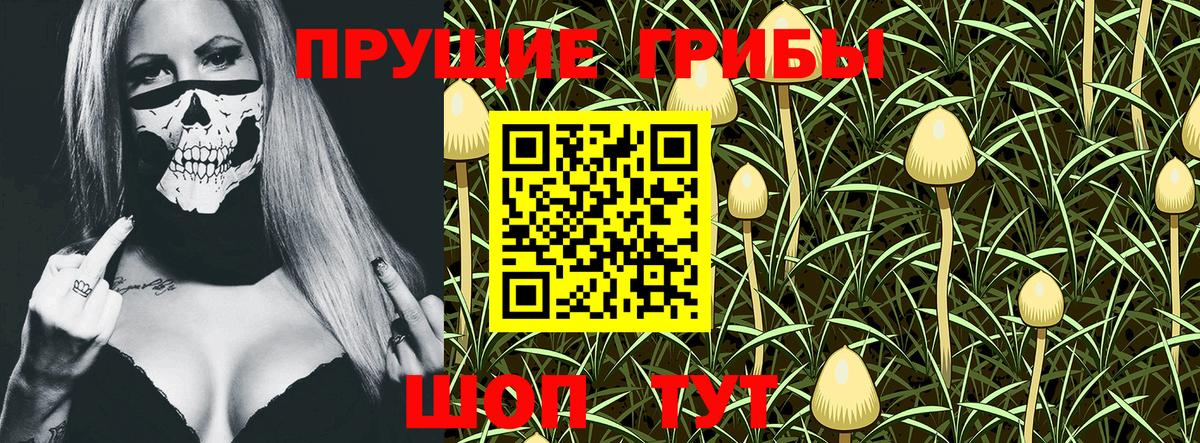 продажа наркотиков  Галлюциногенные грибы Psilocybe  Вход с VPN  Псилоцибиновые грибы MAGIC MUSHROOMS  Гагарин 